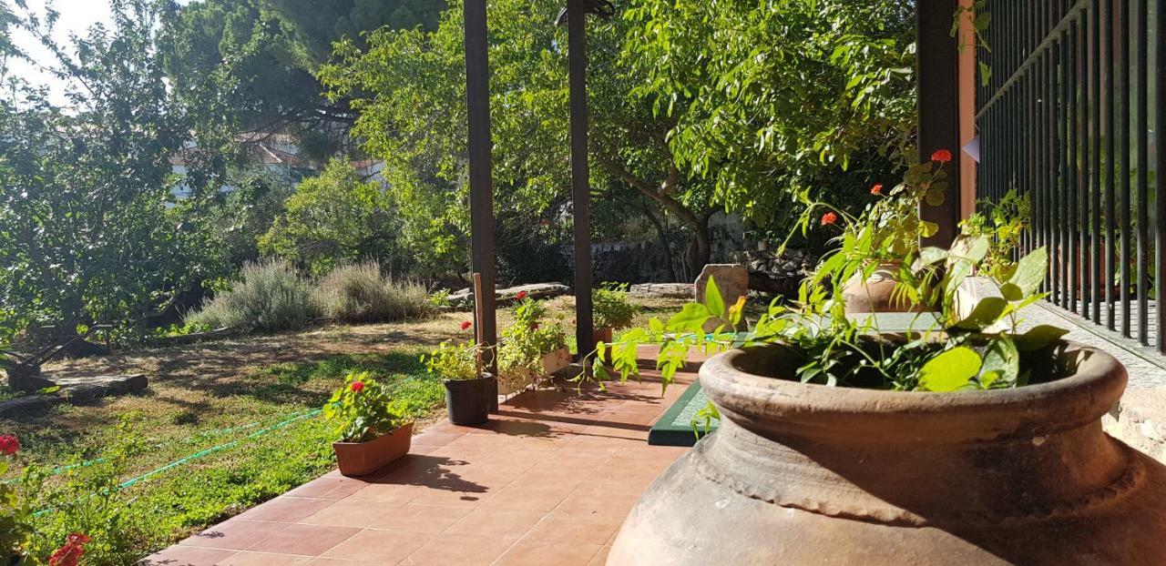 Apartamentossierradegata La Noguera Villamiel Bagian luar foto
