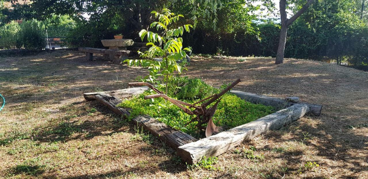 Apartamentossierradegata La Noguera Villamiel Bagian luar foto