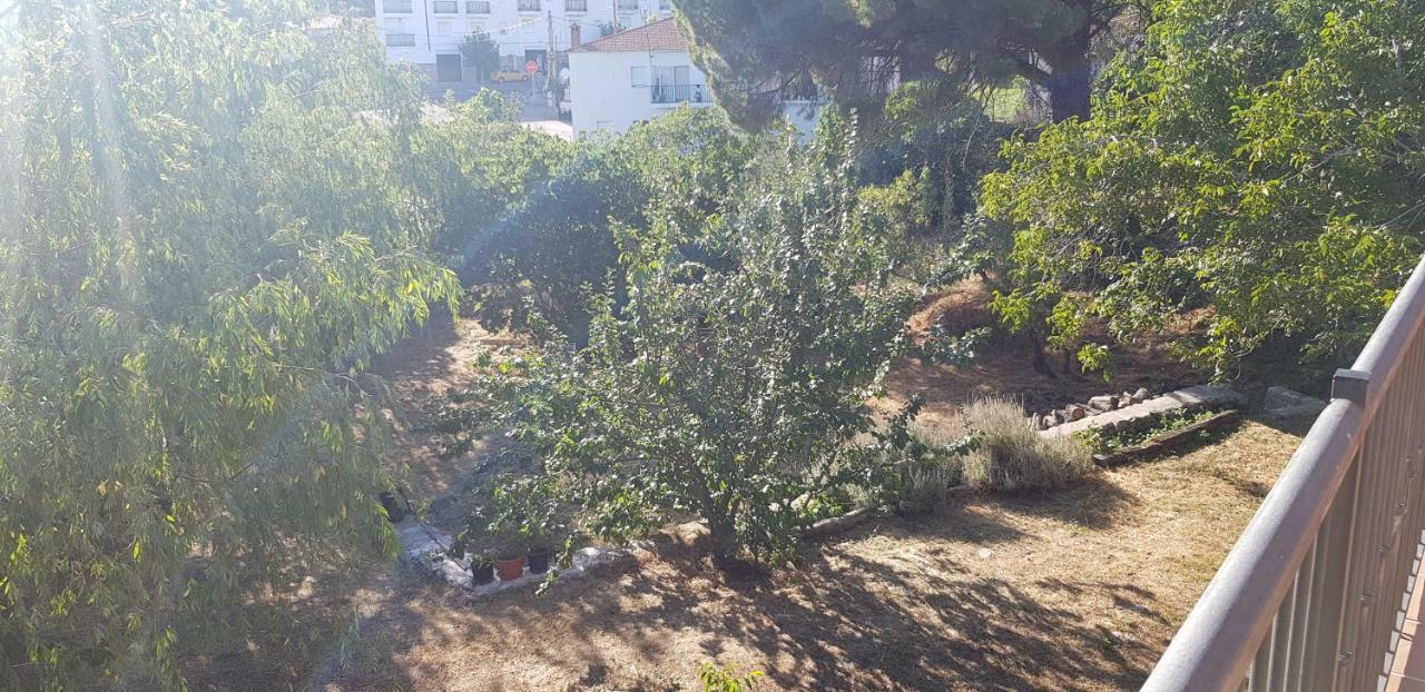 Apartamentossierradegata La Noguera Villamiel Bagian luar foto